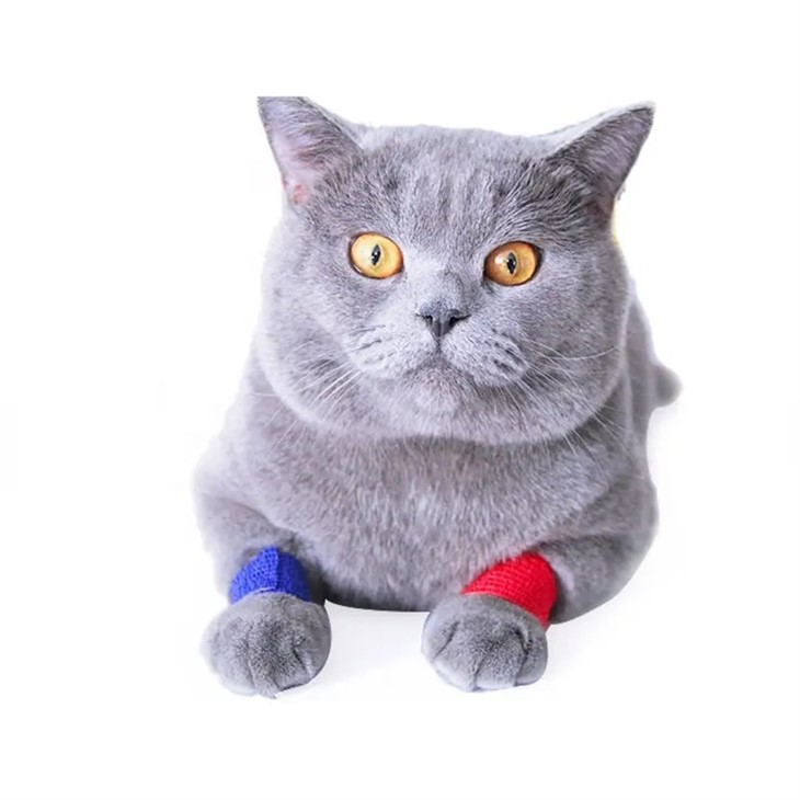 pet bandage tape
